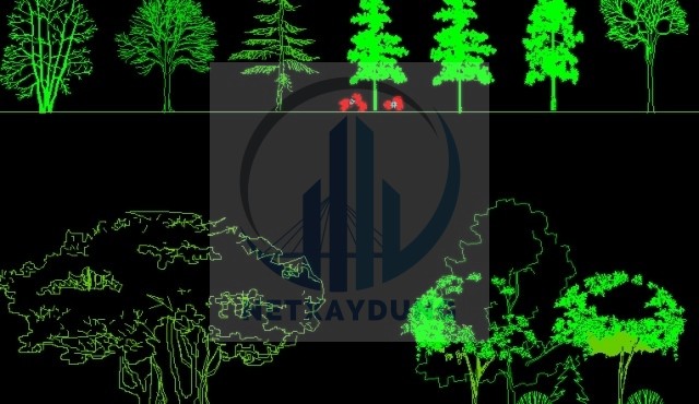 Bản vẽ cad mô hình cây xanh đa dạng phong phú - Ảnh 3